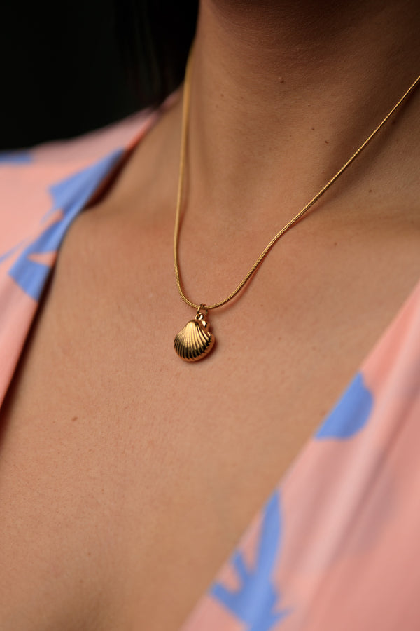 Amy Shell Necklace