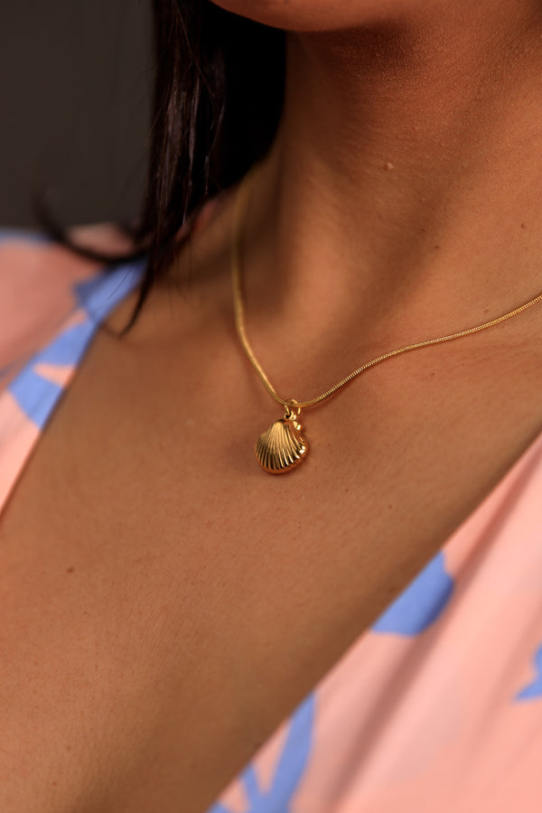 Amy Shell Necklace